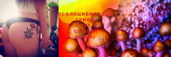 кокс Нея