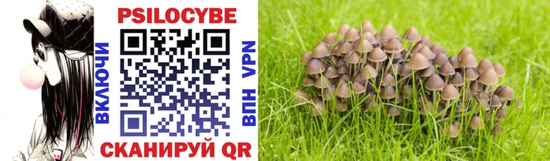 Псилоцибиновые грибы Psilocybe  наркошоп  Копейск 